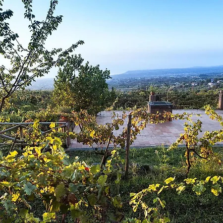 Летний дом Casa Rosa *