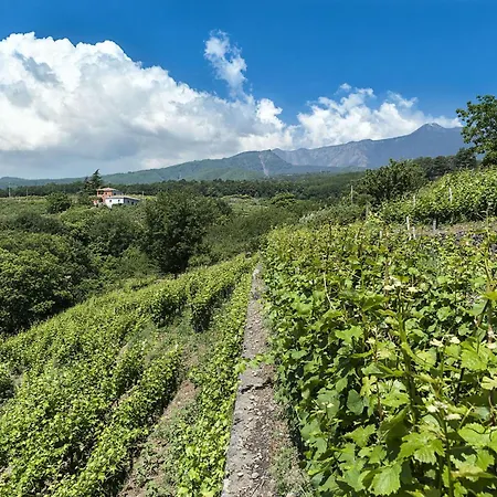 Летний дом Casa Rosa