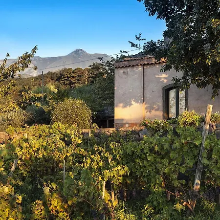 Casa Rosa Летний дом *