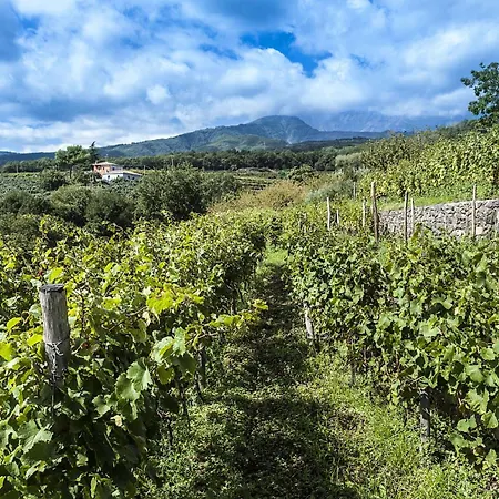 Casa Rosa Gospodarstwo wiejskie